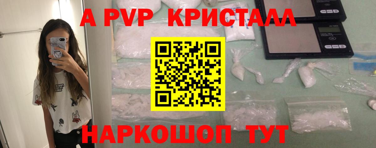 APVP СК Сальск