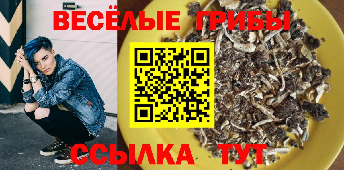 Галлюциногенные грибы прущие грибы Сальск