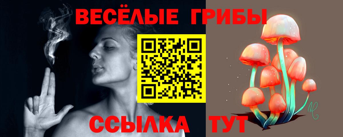 Псилоцибиновые грибы прущие грибы  Вход с VPN  Сальск 